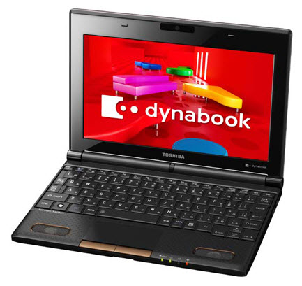 Toshiba-DynaBook-N300-1