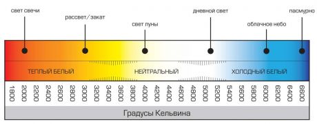 Р“СЂР°РґСѓСЃС‹ РљРµР»СЊРІРёРЅР°